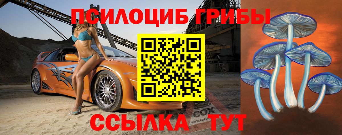 Нижнекамск  цена   Вход с VPN  Псилоцибиновые грибы MAGIC MUSHROOMS 