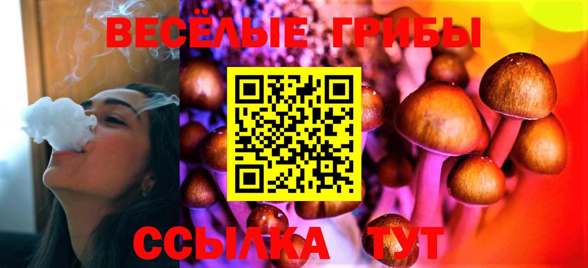 Псилоцибиновые грибы Psilocybe Нижнекамск